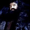 Rubeus Hagrid - Péče o kouzelné tvory