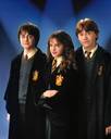 Harry, Ron , Hermiona